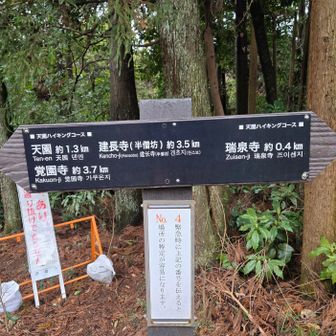 分かりやすい案内標柱。