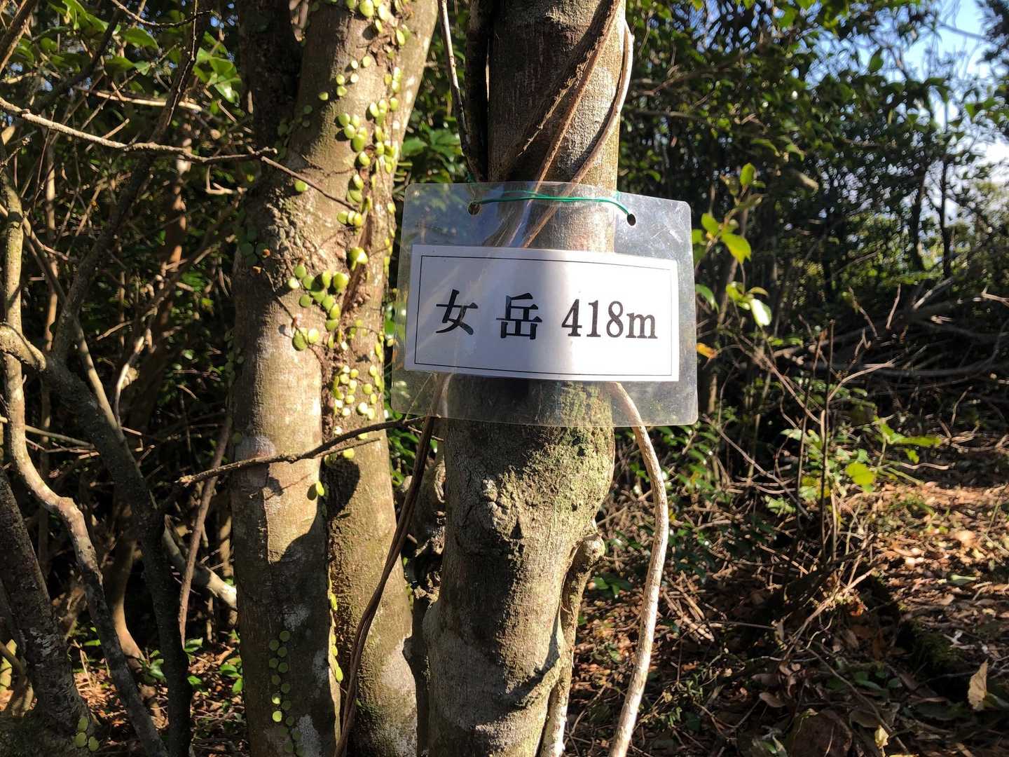 すると...やったね🤗
女岳ゲット！