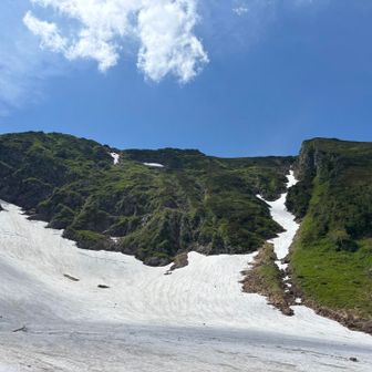 埋まってる夏道の軌跡を辿ってトラバースを始めたけど、シャーベットで滑る雪渓の横歩きで、一歩一本が滑落しそうで怖くなってきて😨

うっかり直登(笑)
植物のあるところに逃げたくなった…