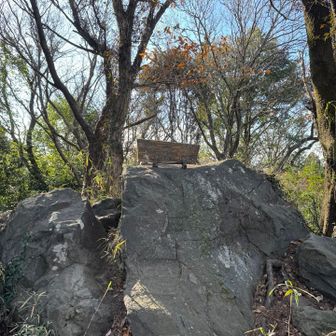 そのまま直進して登って
尖浅間山頂（この日2回目🤣）

このまま進んで結構下ってから
異変に気が付き引き返し↩️
登り返しで獲得標高稼げました😅