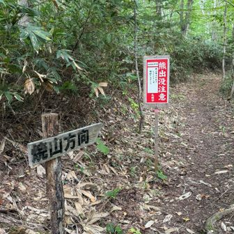 焼山方面分岐。ここは右へ。
