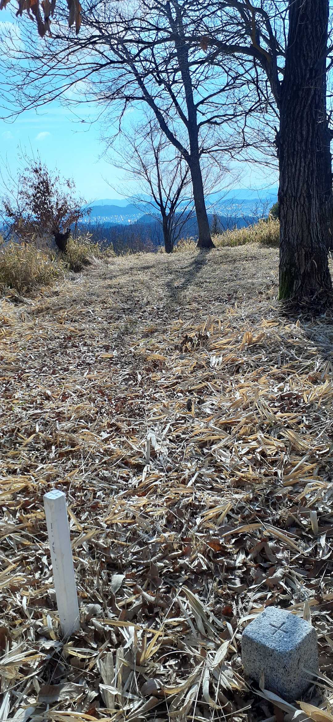 権現山山頂と三等三角点