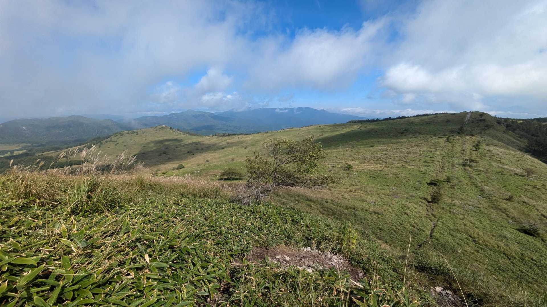 行かずに　北の耳から左のゼブラ山へ稜線を歩きます