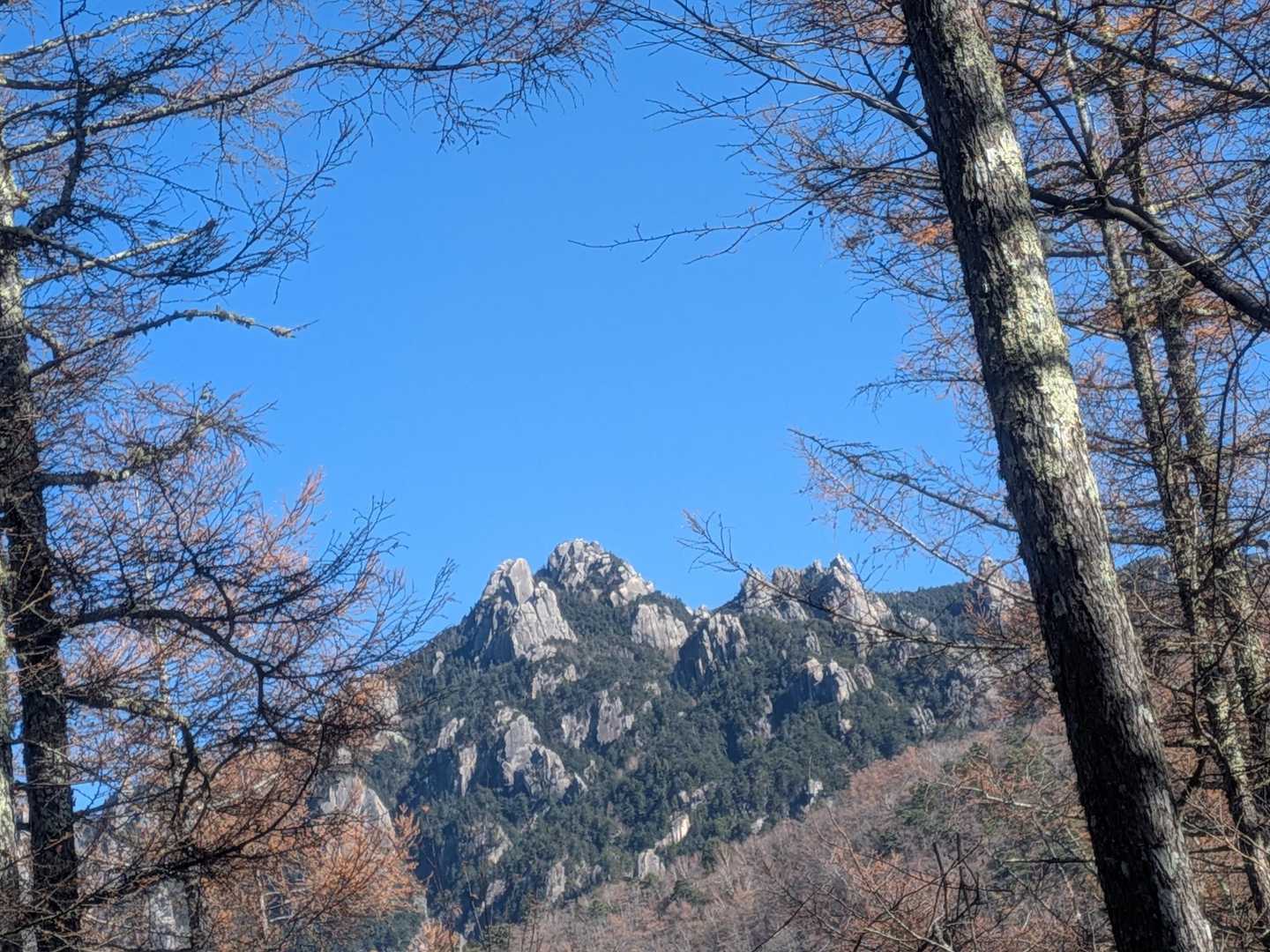 木々の隙間から✨