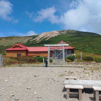 山っく