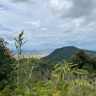 あの山なんですかね？