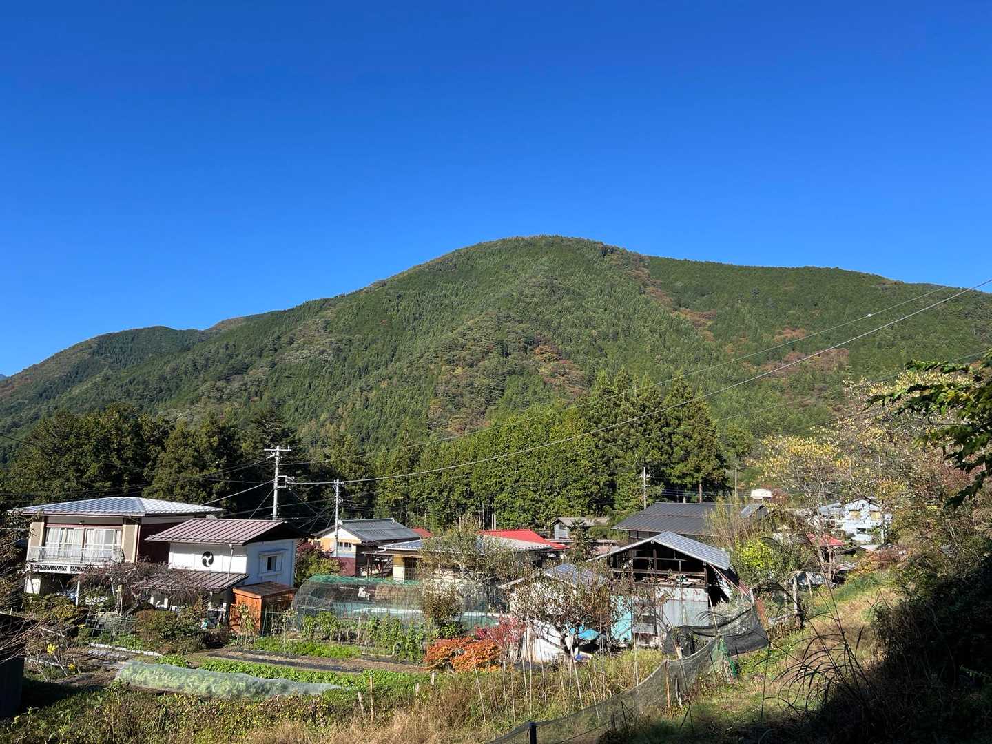 鶴峠-奈良倉山-松姫峠-鶴寝山-大マテイ山 縦走コースの写真