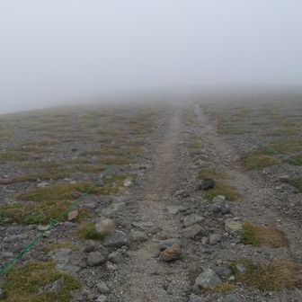 旭岳へ向かう道も霧の中に