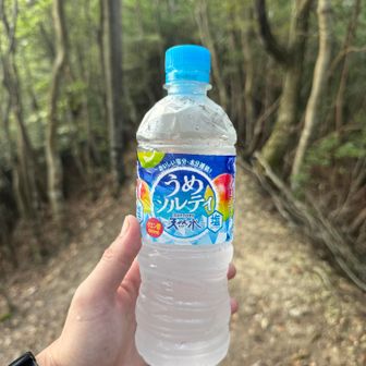 これ、めちゃオススメ😍
ゴクゴク飲んで、次は水場を目標に👣