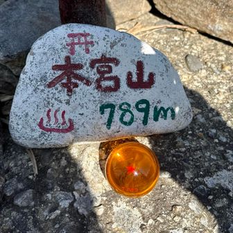 ドラゴンボール見つけたよ👀✨