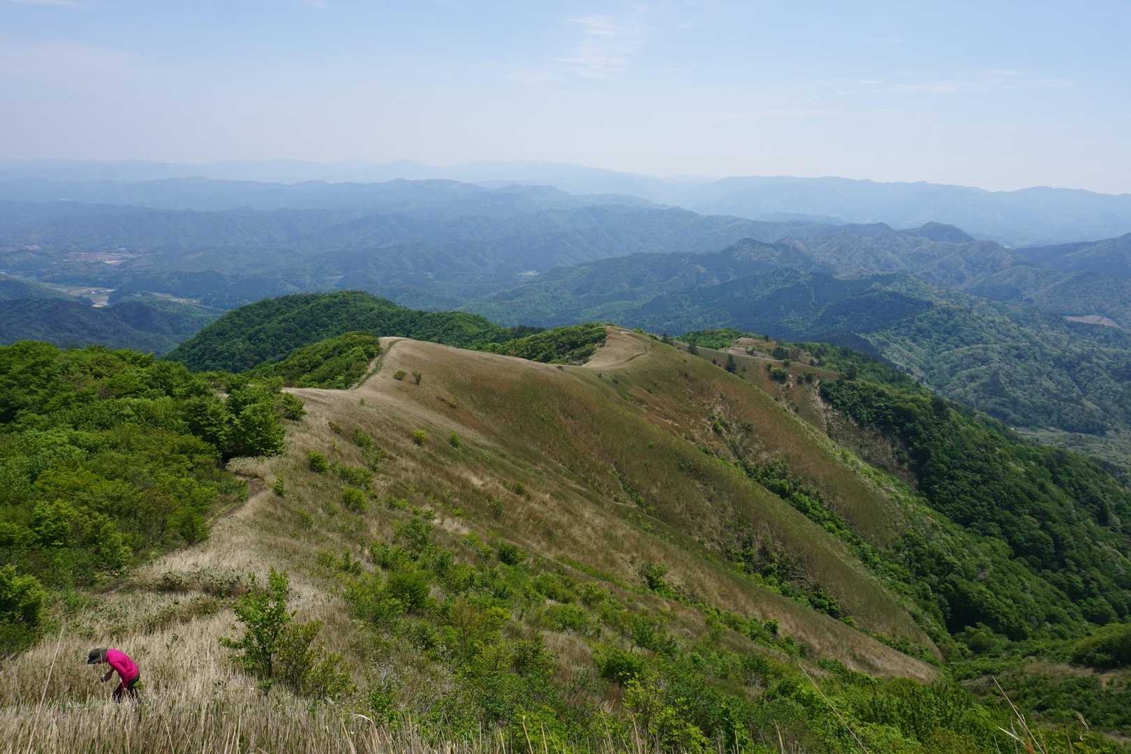 新緑の下蒜山