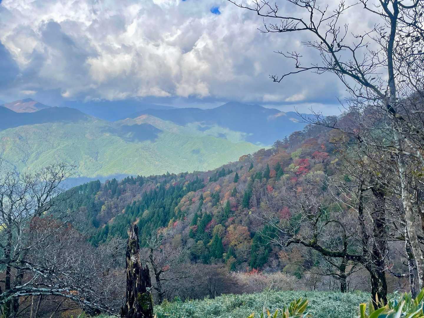船木山登山口-船木山-後山 往復コースの写真
