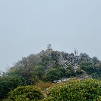 シャクナゲ帯を抜けたら山頂の祠が見えた