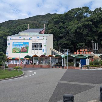 大会当日はここに午前3時着、5時スタート