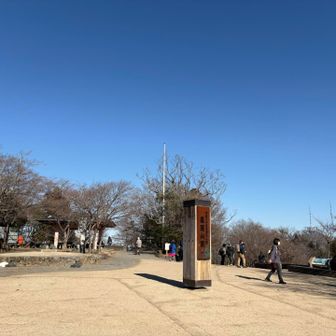 抜けるような青空なのでした〜