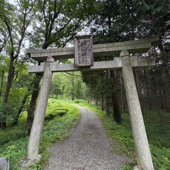 鳥居のほうに出ました