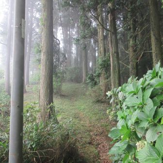 Pに戻ります