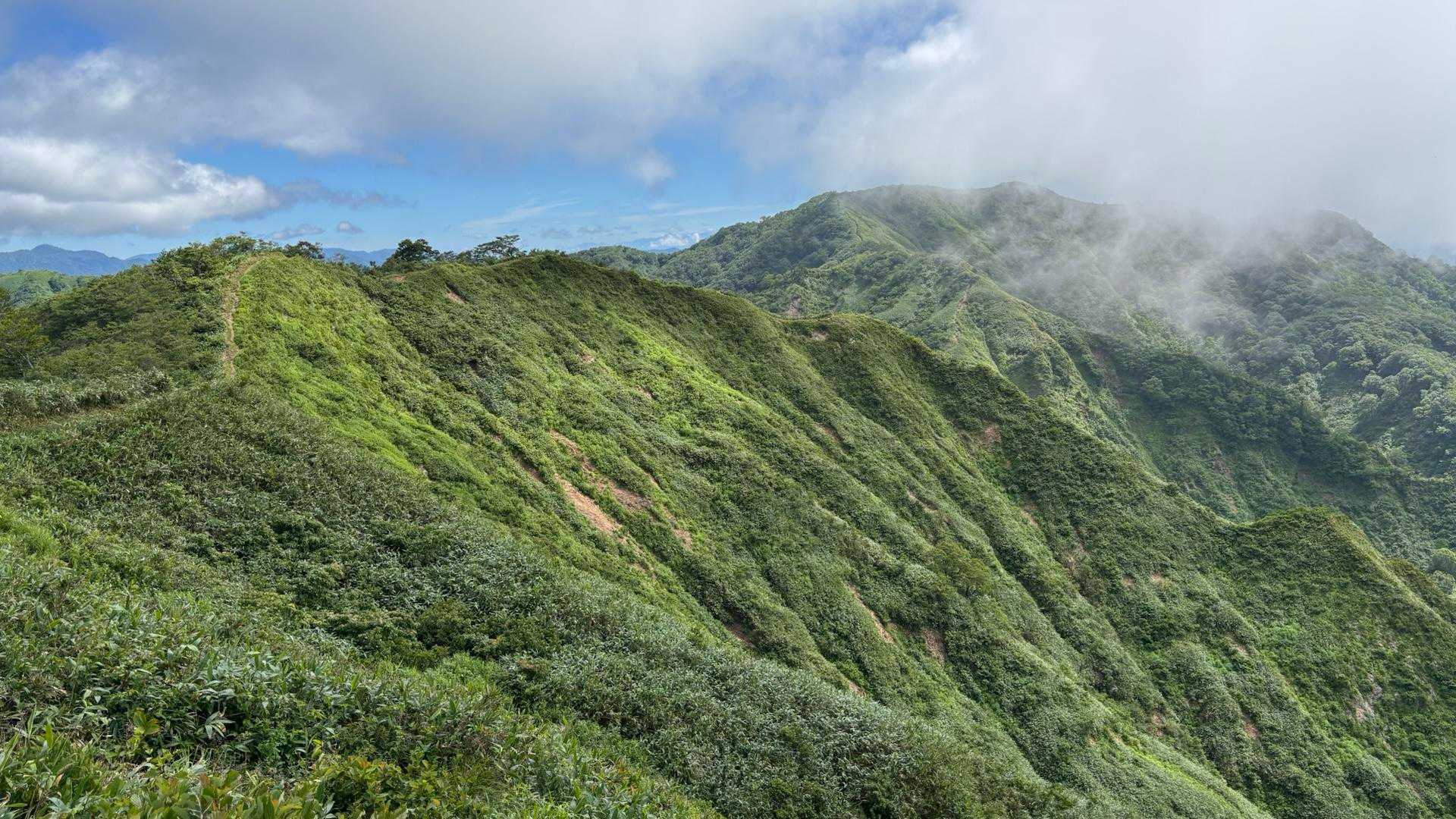 いい眺め！大日ヶ岳山頂が見える