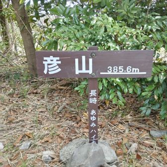 登って来ました。