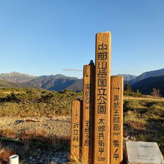太郎平小屋に帰ってきました