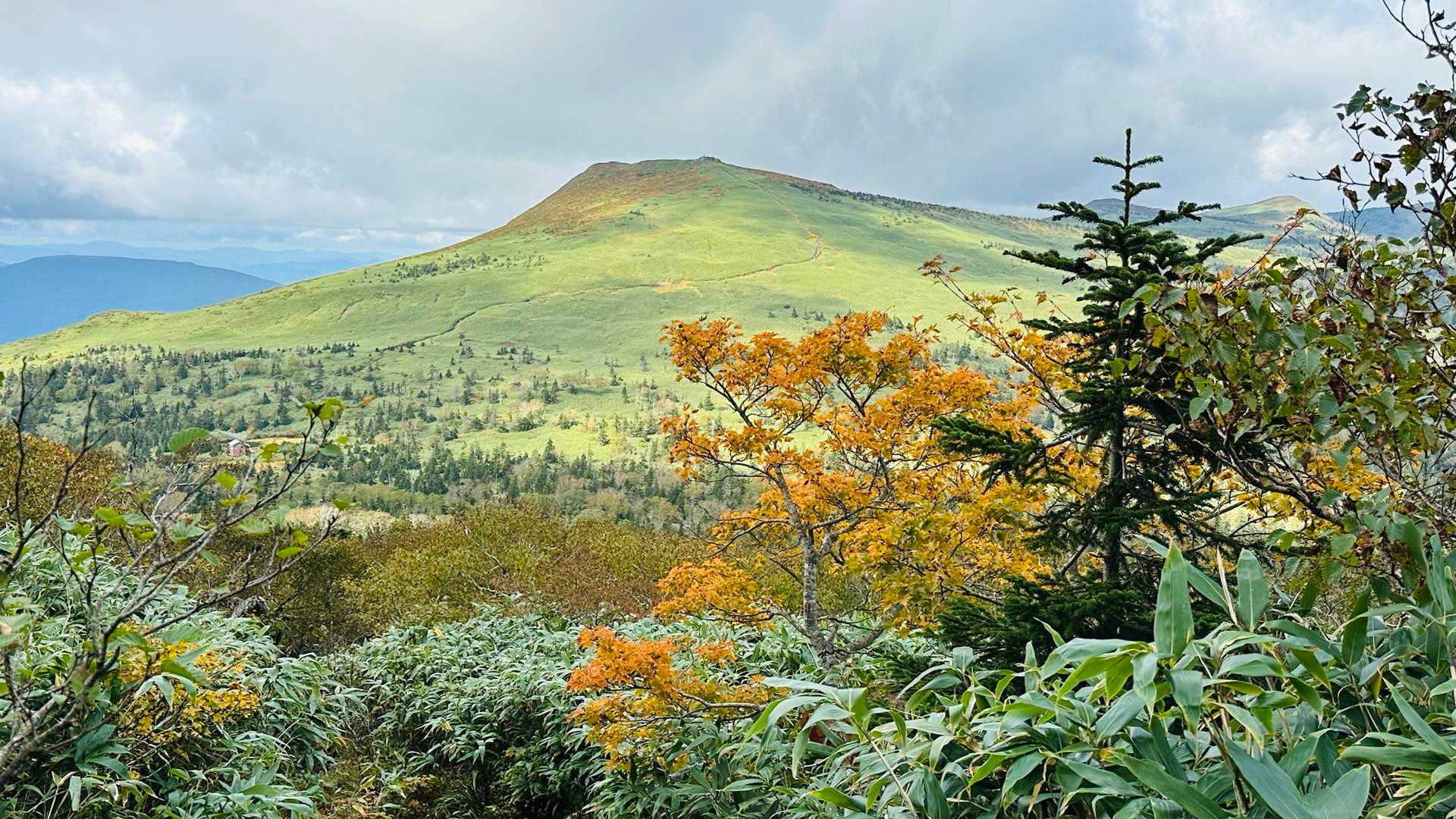 第3リフト降場-大松倉山-三ツ石山 往復コースの写真
