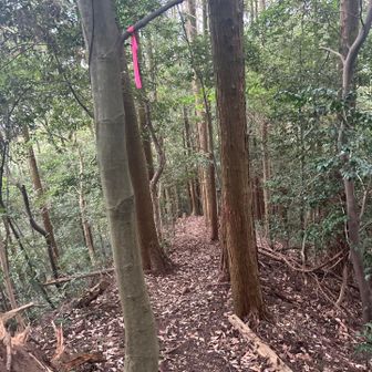 3番休憩所手前の道を⬅️ 尾根伝いに下山