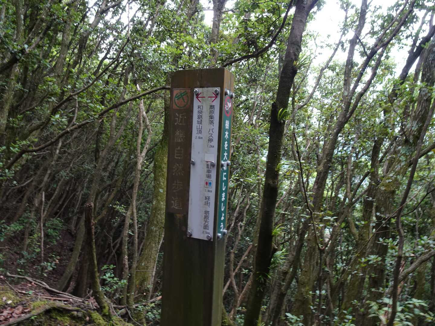尾根に到着