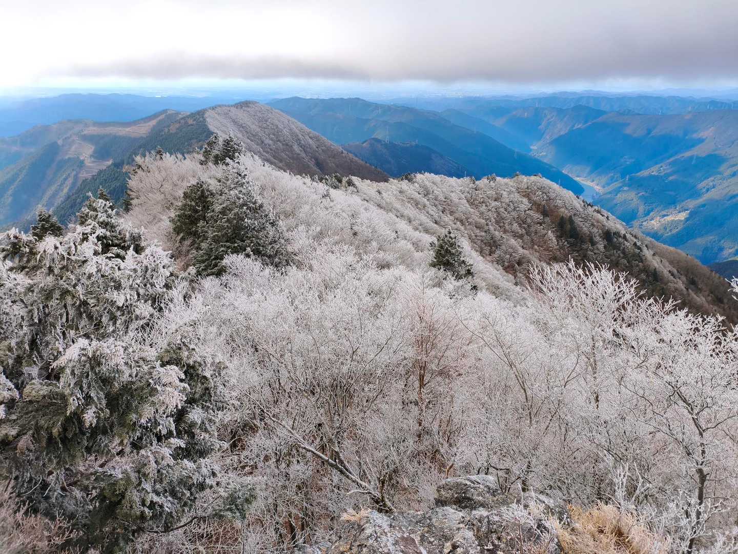 霧氷❄️この景色が見たかった✨️🥶