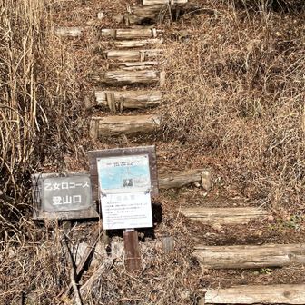 乙女口コース登山口へ無事下山