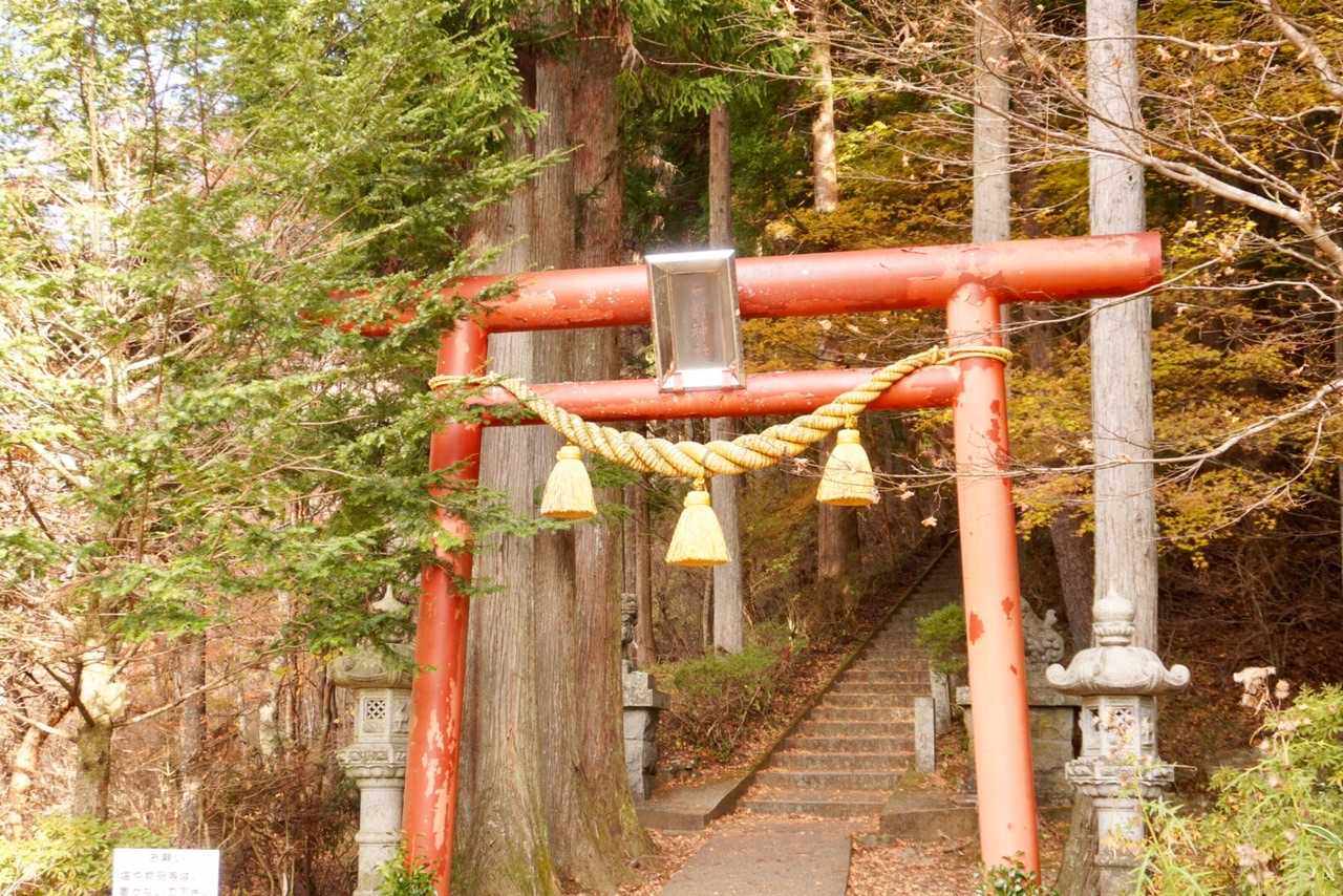 お疲れ山でした。