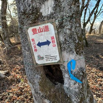 行ったことのない寄バス停におりました