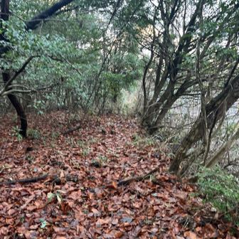 さて帰ろうっと♪