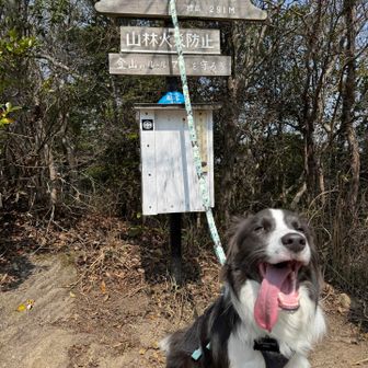 ついたー！おにぎりも食べました🍙