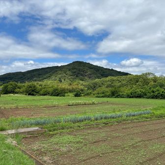 最後向かう太平山(おおひらやま)