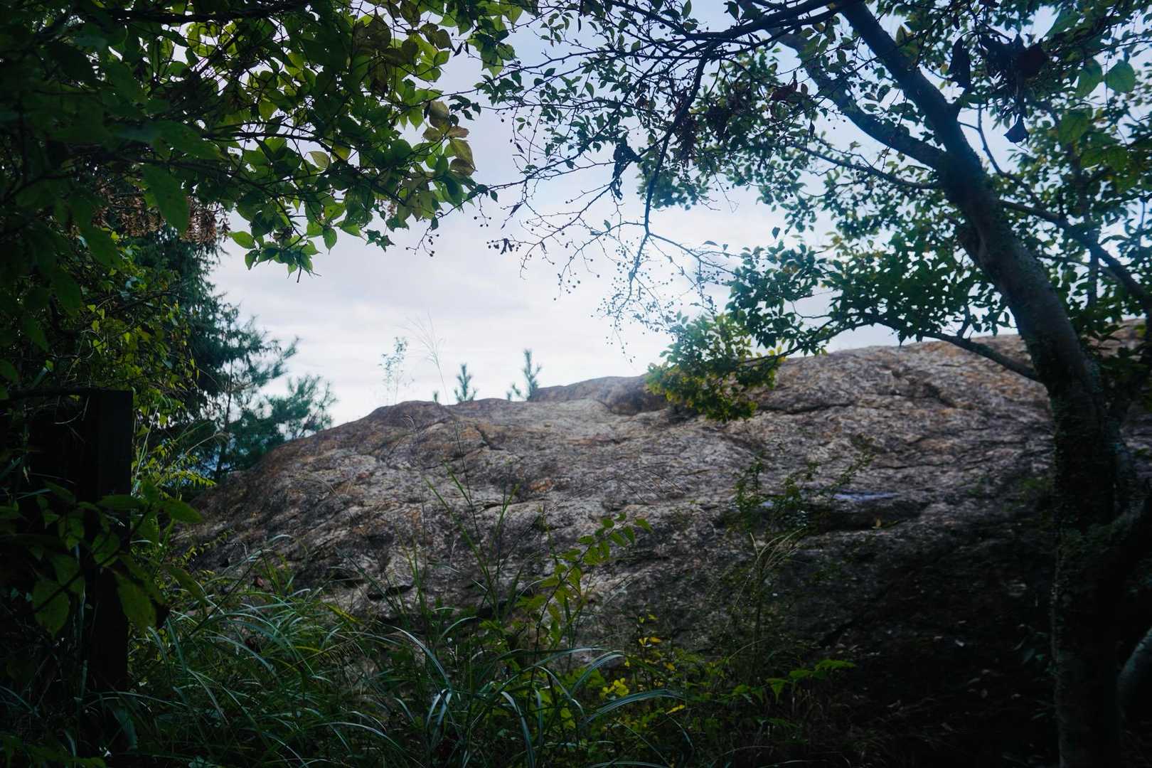 龍門山 往復コースの写真