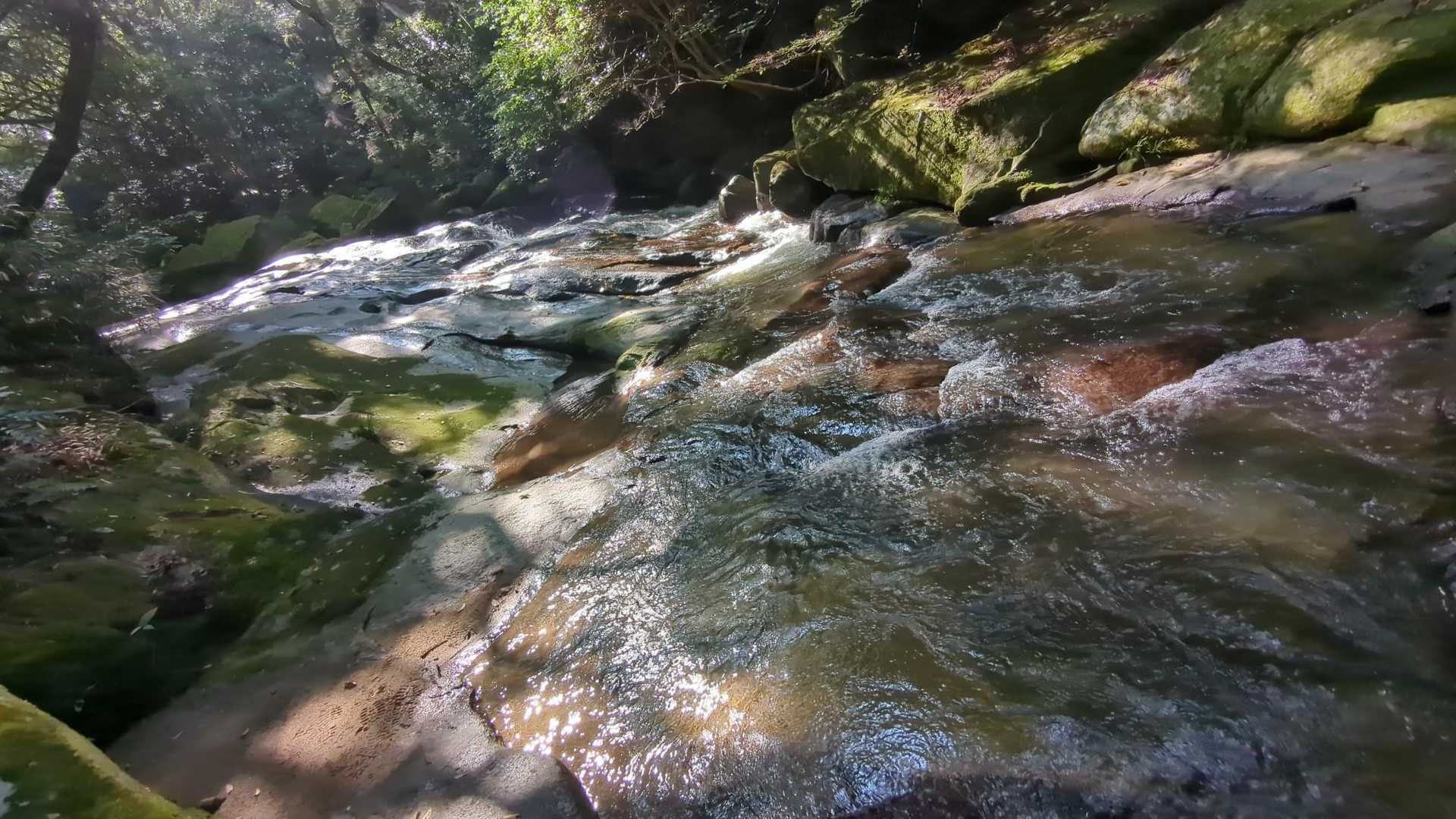 沢があると寄り道ばっか