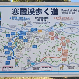 なかなかいいトレイル。よかった。