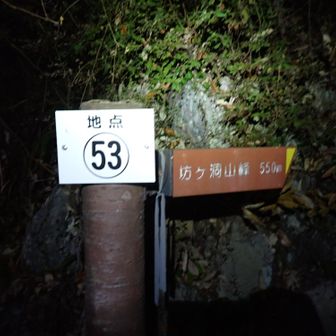 ながら川ふれあいの森　古津駐車場からスタート