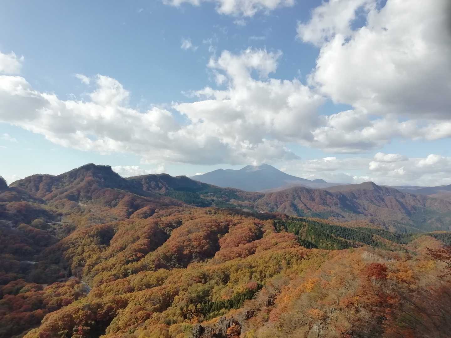 西登山口-コル-高岩 往復コースの写真