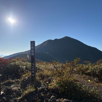 山友さんおすすめの
小荒島岳からの荒島岳😍