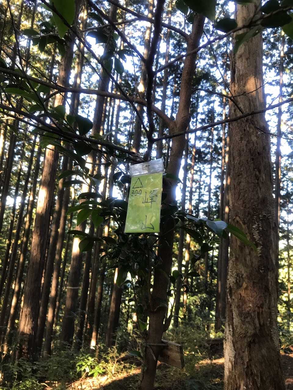 朝見山（峰山）山頂