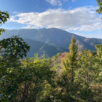 阿弥陀ヶ峰が見えます。