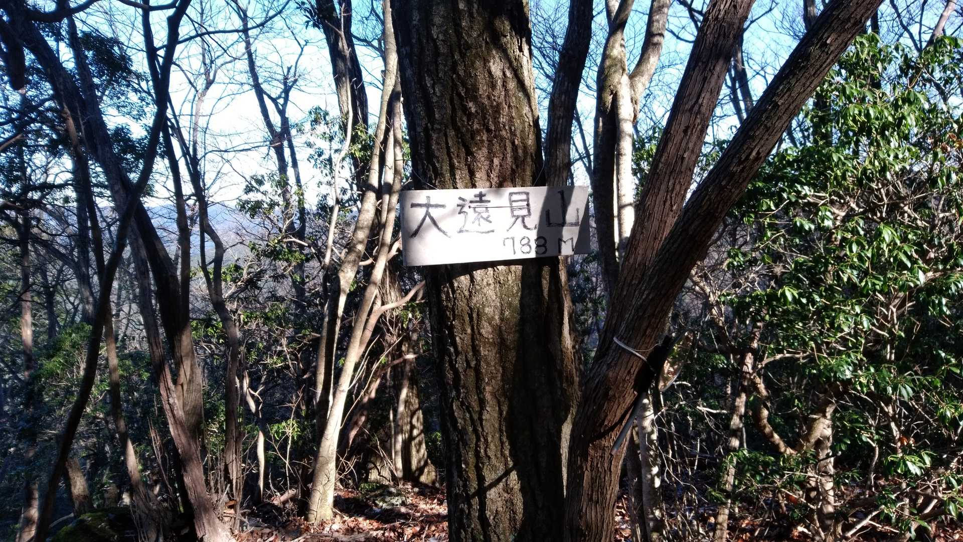 大遠見山到着