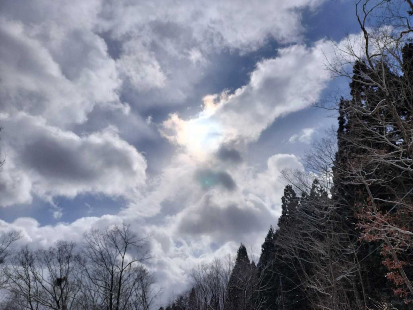 たまに顔を覗かせる太陽☀って、ことは☝️彩雲が見れるチャンスも🌈

あなたにも見えた⁉️😁