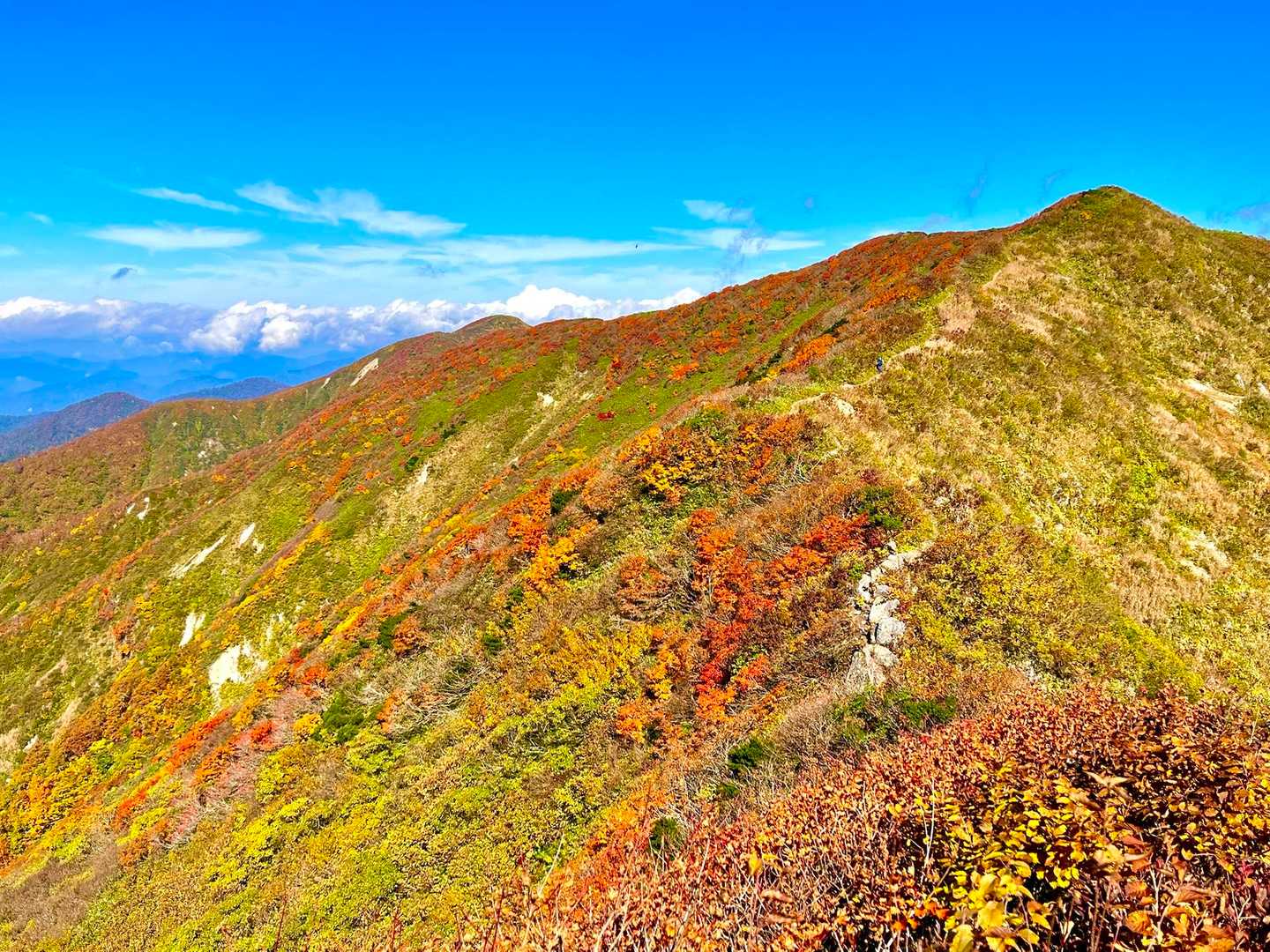 有屋口登山口-神室山 往復コースの写真