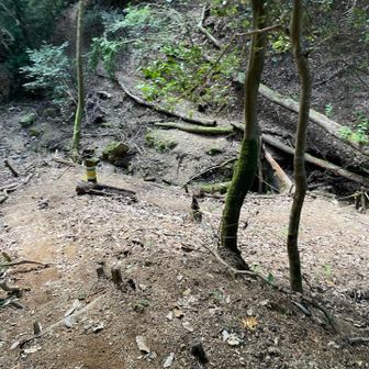 No.68
↑比叡山　　　↓石鳥居
渡渉して谷の向こう側に進みます