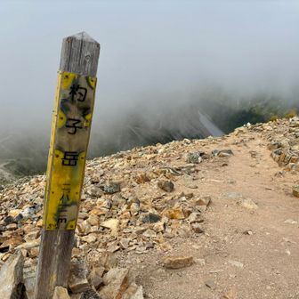 杓子岳山頂