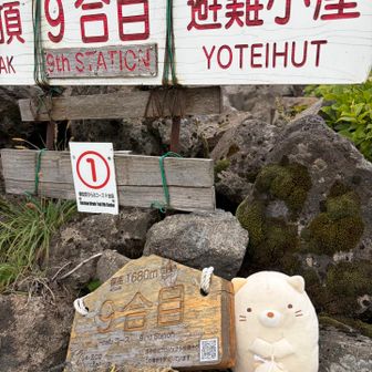 9号目すれ違う方々から山頂は晴れてるよ〜というありがたい情報🙏士気が上がります🤩