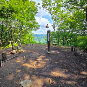三ノ峠山
丸太のベンチがグルリと！😲