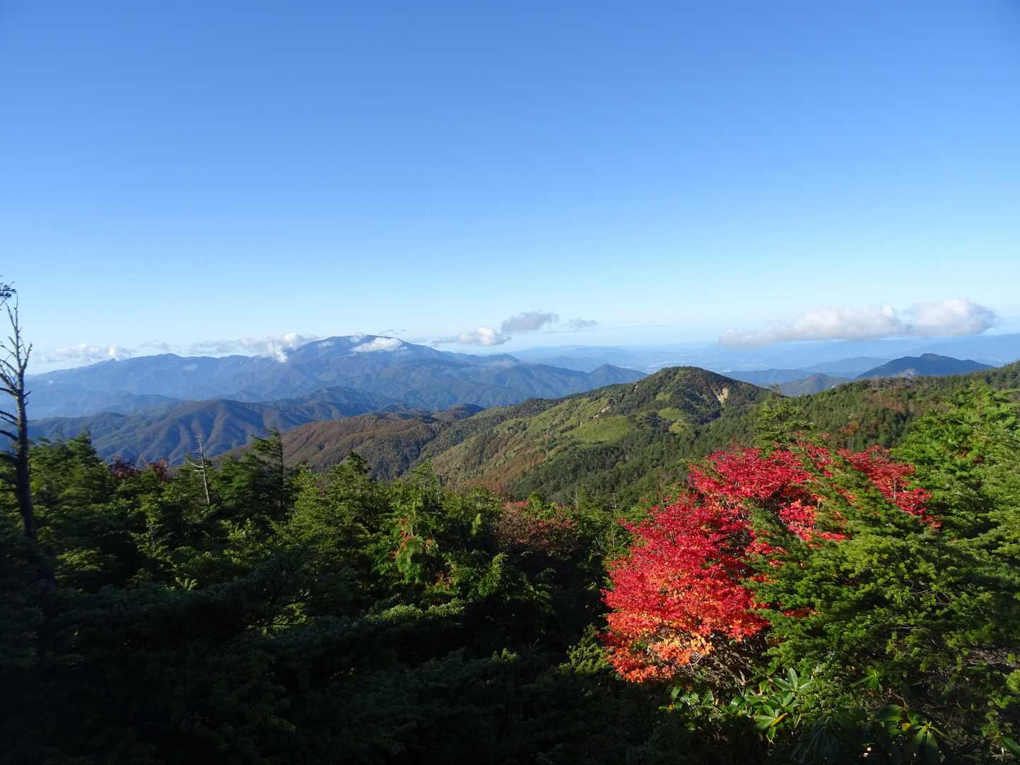 摺古木山-白ビソ山-安平路山 往復コースの写真